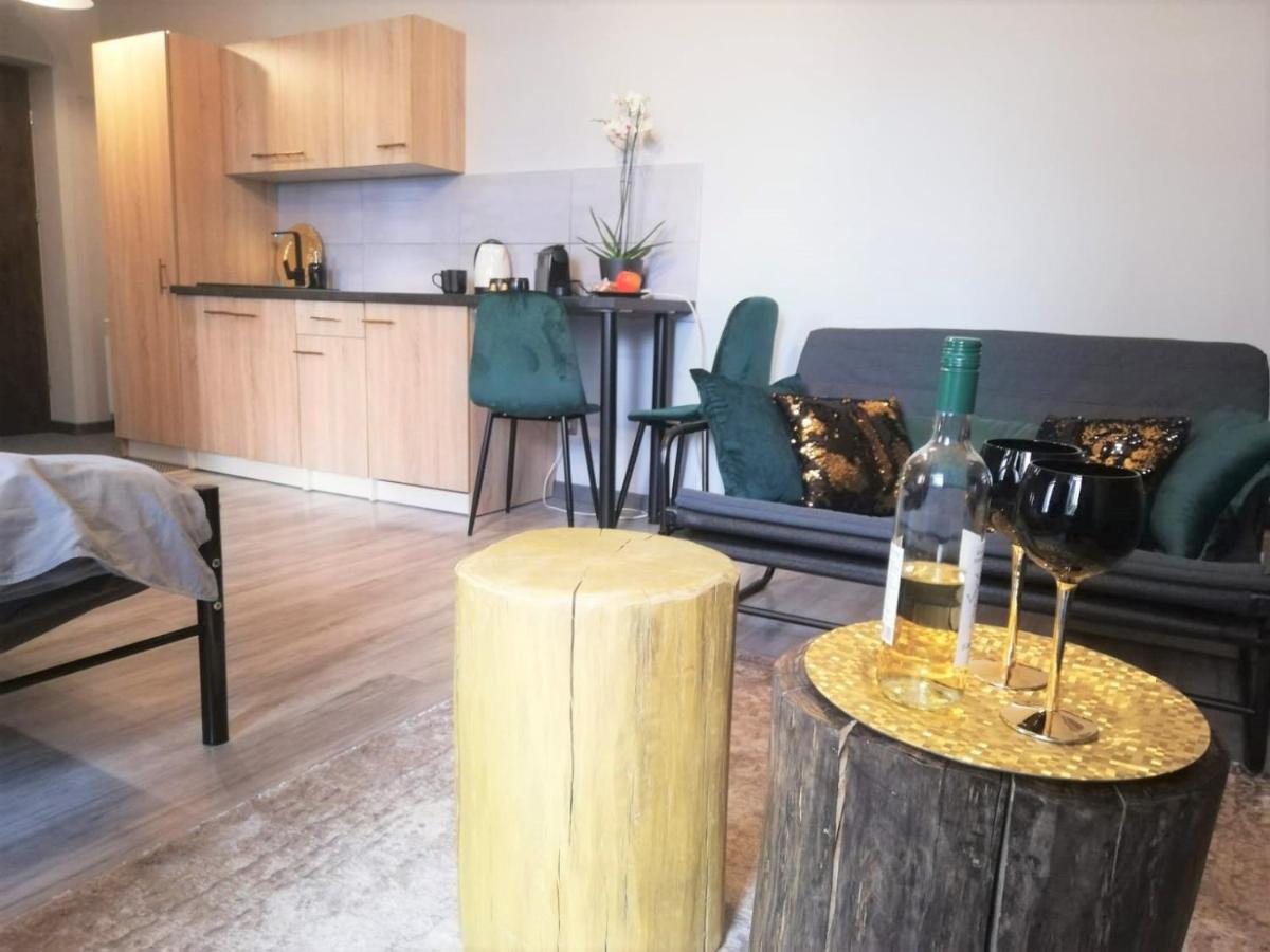 Apartament Czarne Zloto Катовіце Екстер'єр фото